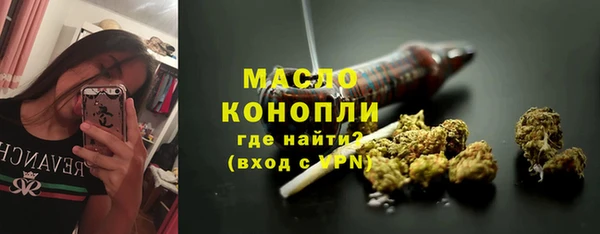 гидра Верхний Тагил