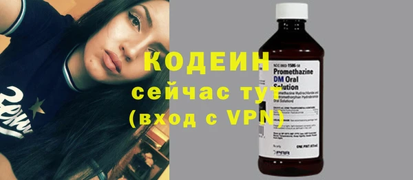 гидра Верхний Тагил