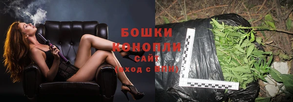 гидра Верхний Тагил