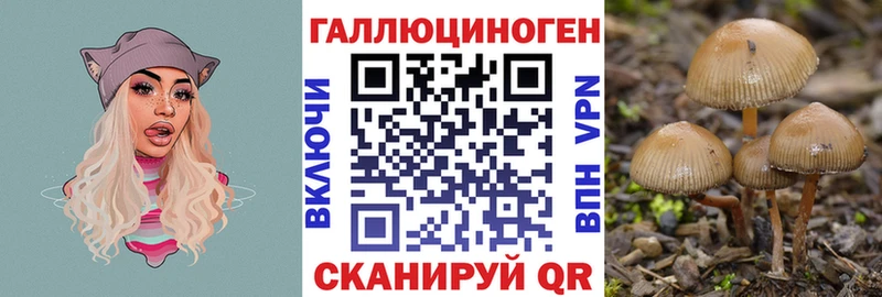 даркнет сайт  Кизел  Галлюциногенные грибы ЛСД 